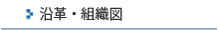 沿革・組織図